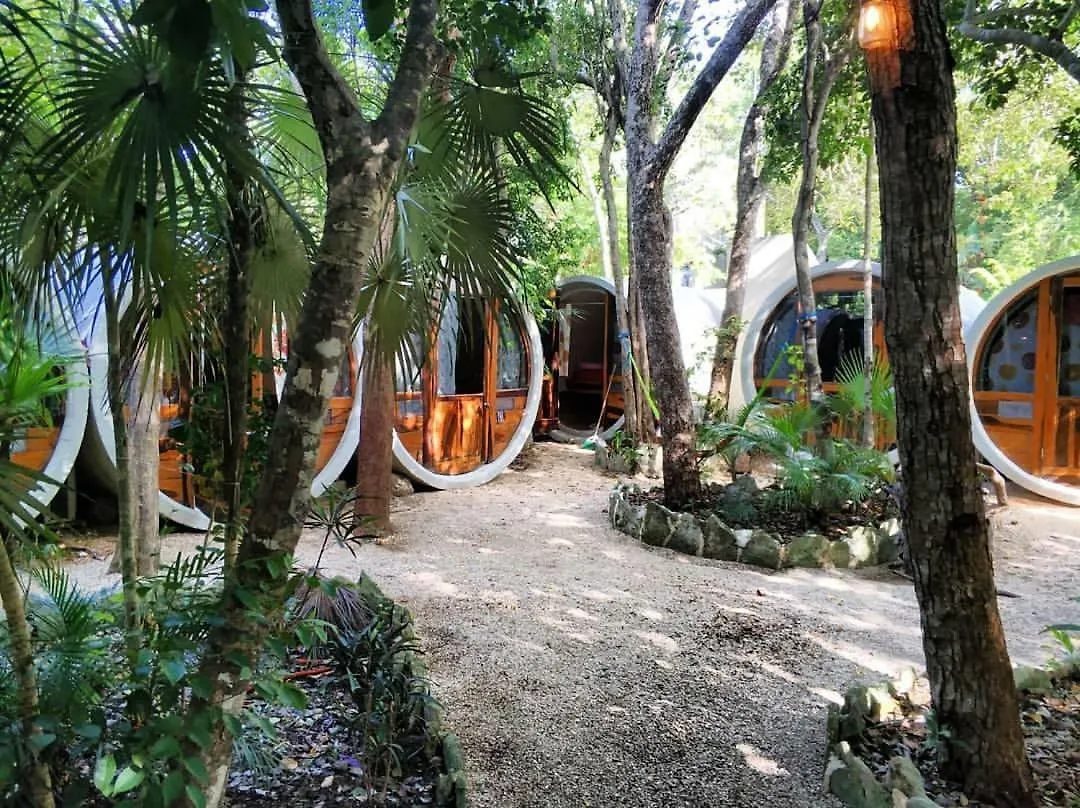 Tubo Tulum Hostel Mexique