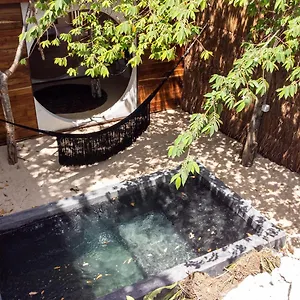 https://bh-hotel-cenote-tulum-adults-77774.tulum-hotels.net