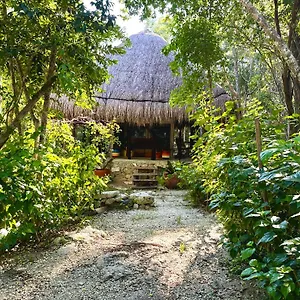 https://bunga-lotus-glamping-otoch-nacom.quintano-roohotels.com