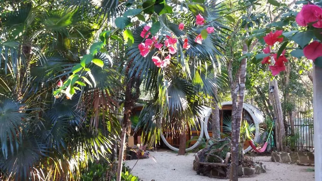 Tubo Tulum Hostel 0*,