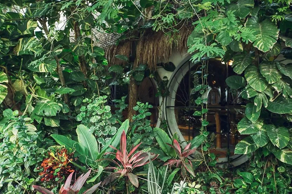 Tubo Tulum Hostel
