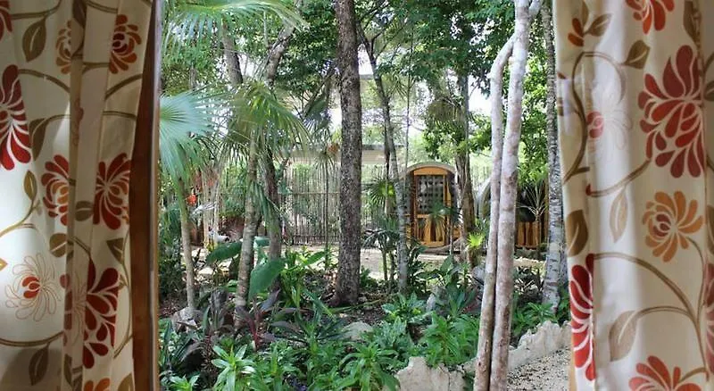 Tubo Tulum Hostel Mexico